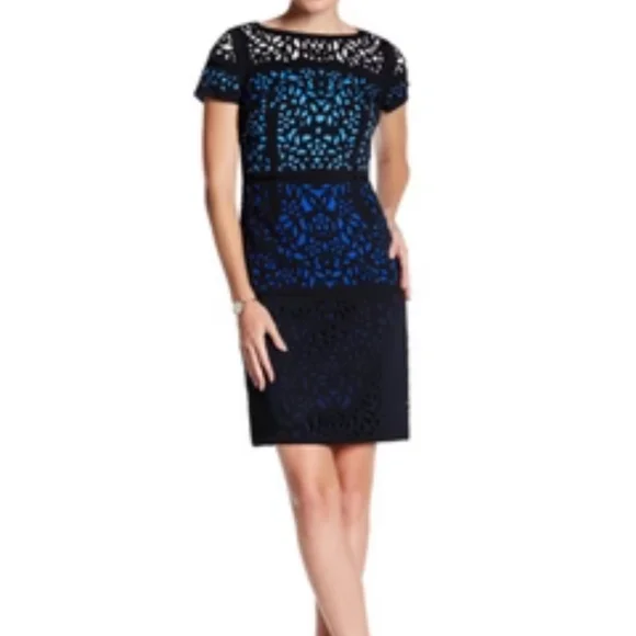 Shani ombre laser cut lace sheath luxury dress short sleeves wearable art